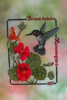 Broad Tailed Hummingbird (2017 Commemorative)